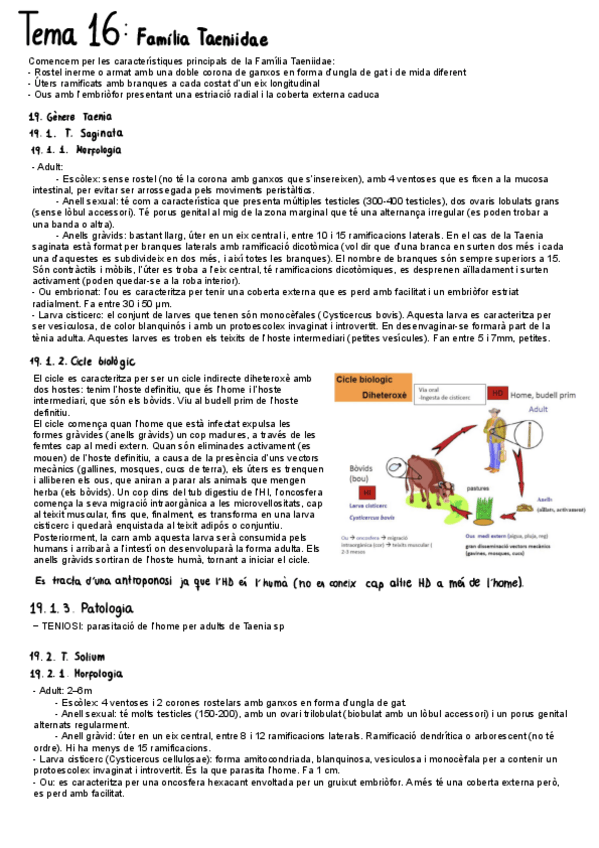 Miniatura del documento Tema-16.pdf