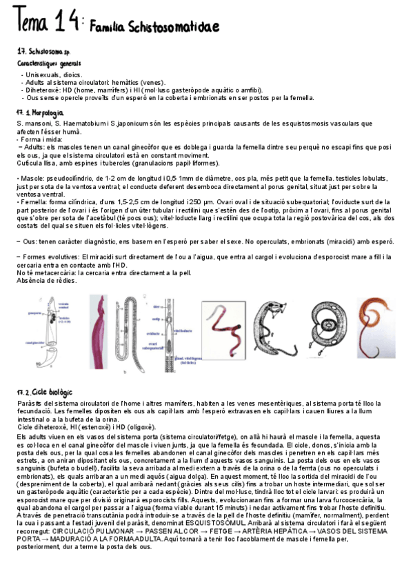 Miniatura del documento Tema-14.pdf