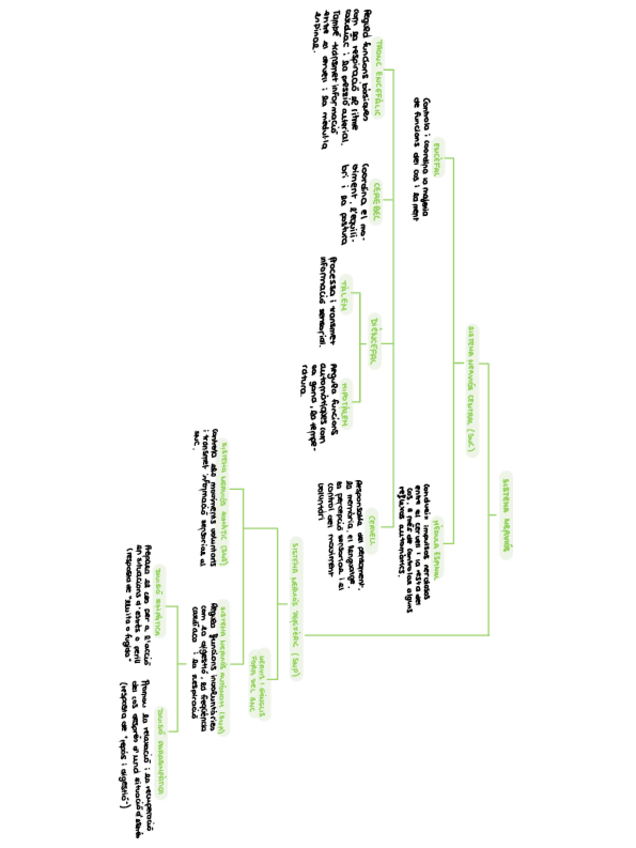 Miniatura del documento sistema-nervios-psiocologia.pdf