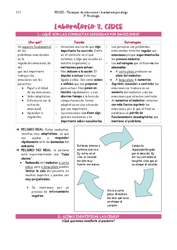 Miniatura del documento TECNICAS-DE-INTERVENCION-LAB-CIDES.pdf