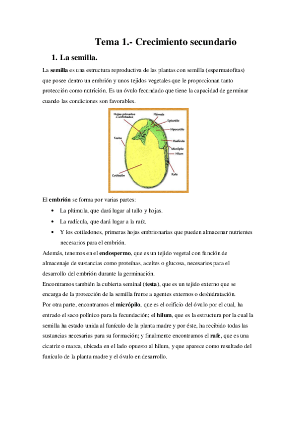 Miniatura del documento TEMA-1.pdf