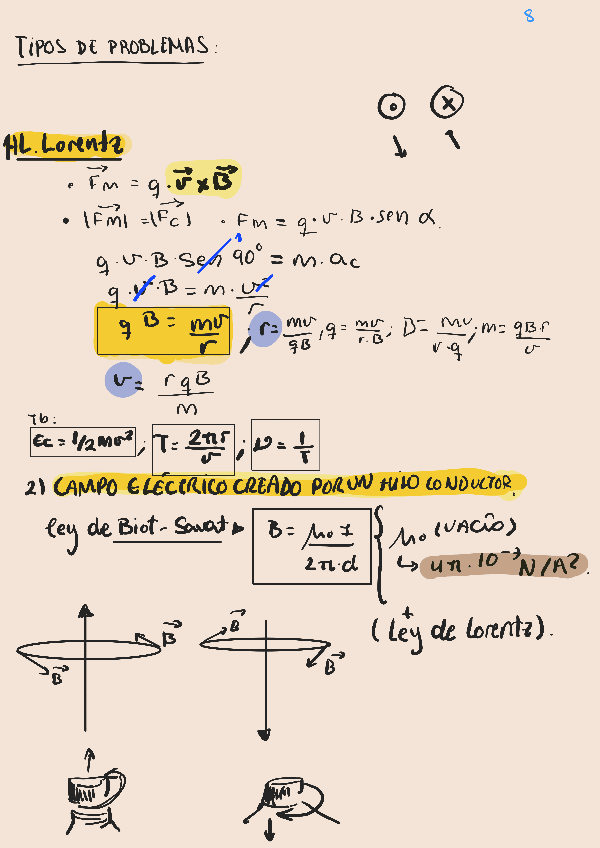 Miniatura del documento RESUMEN-COMPLETO-FISICA-PAU-CAMPO-MAGNETICO.pdf