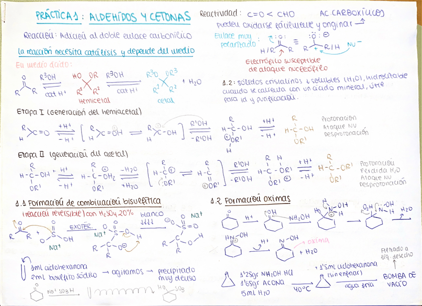Miniatura del documento Resumenes-Practicas-Quimica-Organica-II.pdf