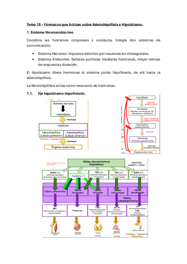 Miniatura del documento Tema-18-Farma-II.pdf