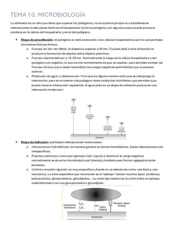 Miniatura del documento Tema-10.pdf
