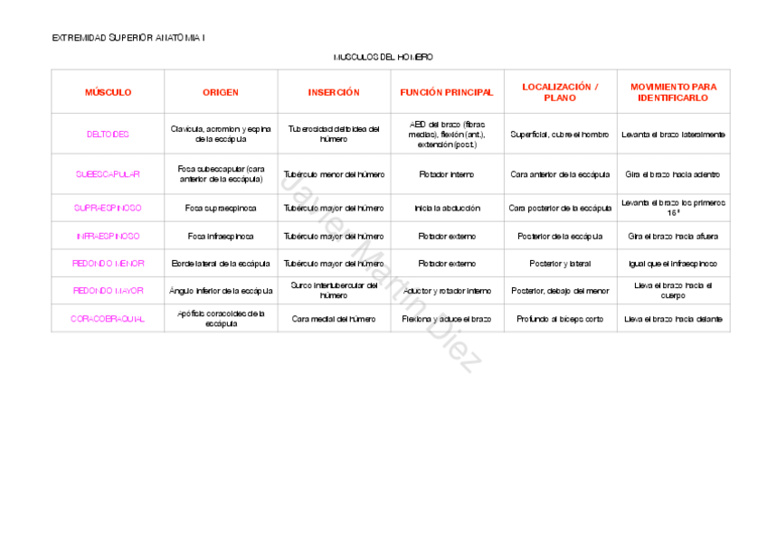 Miniatura del documento ANATOMIA-I-musculos-ES-movimiento-origen-localizacion-insercion.-2.pdf