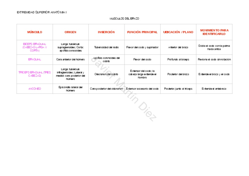 Miniatura del documento ANATOMIA-I-musculos-ES-movimiento-origen-localizacion-insercion.-3.pdf