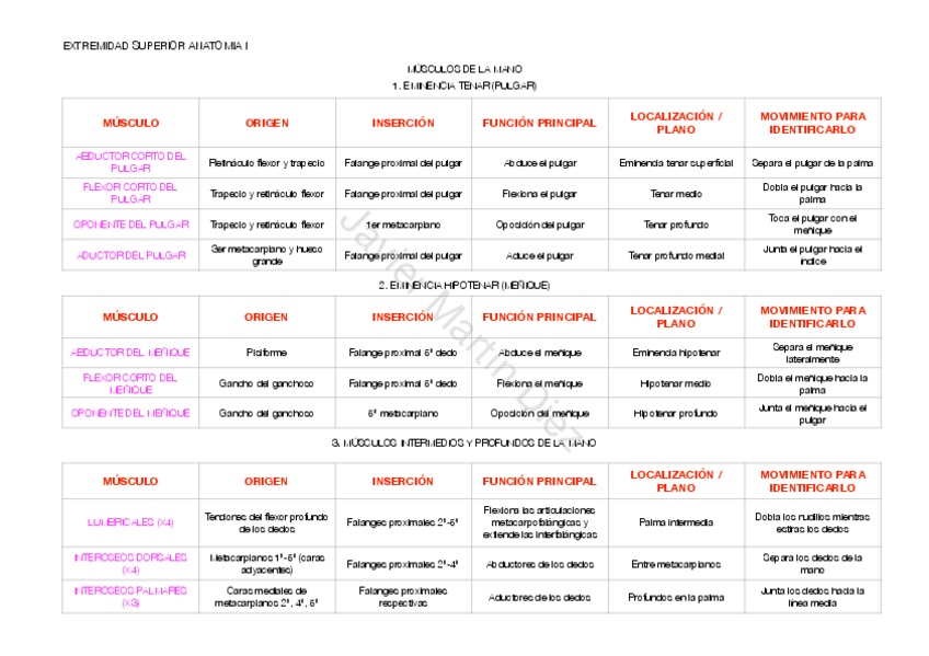 Miniatura del documento ANATOMIA-I-musculos-ES-movimiento-origen-localizacion-insercion.5.pdf