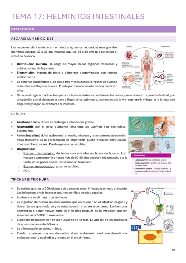 Miniatura del documento tema-17-nematodos-y-cestodos.pdf