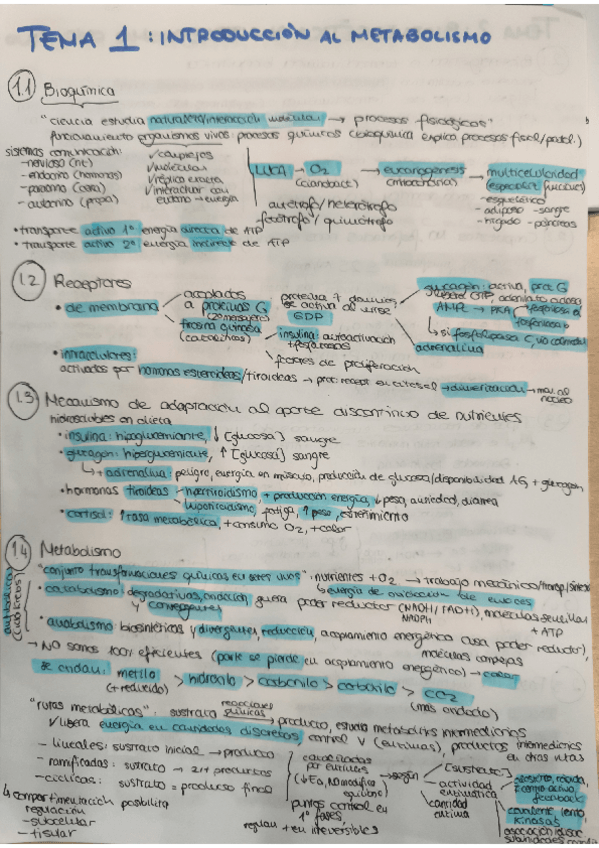 Miniatura del documento ESQUEMAS-PRIMER-PARCIAL-BQM.pdf