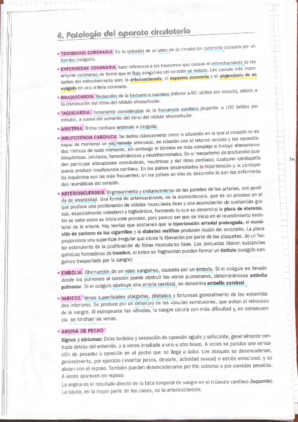 Miniatura del documento Patologias-del-sistema-circulatorio.pdf