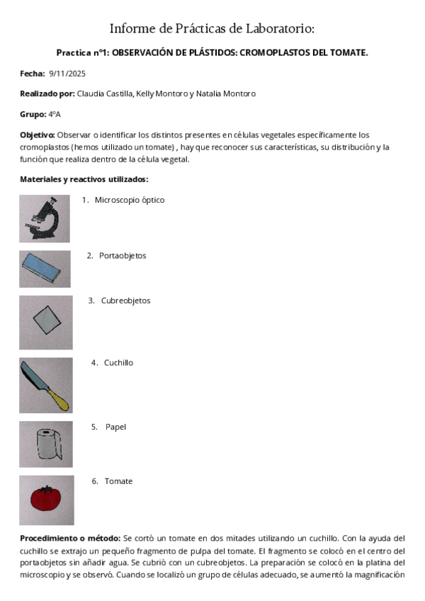 Miniatura del documento Informe-de-Practicas-de-Laboratorio.pdf