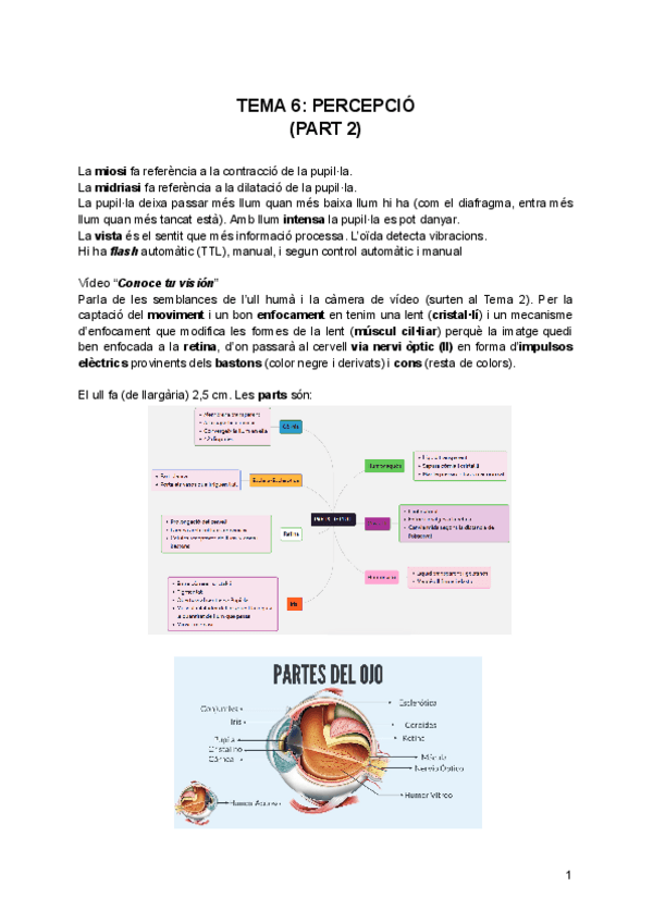 Miniatura del documento 6.2-Percepcio.pdf
