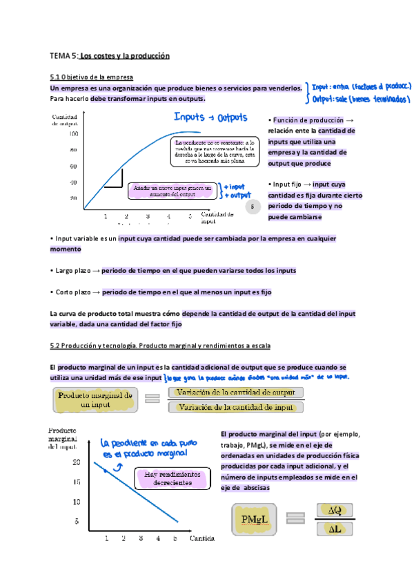 Miniatura del documento T5-LOS-COSTES-Y-LA-PRODUCCION-1.pdf