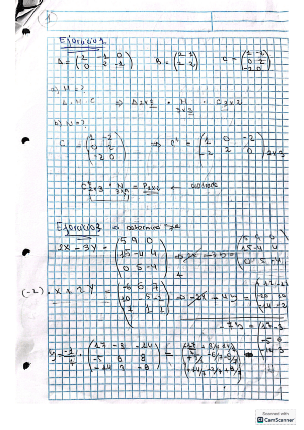 Miniatura del documento Matrices.pdf