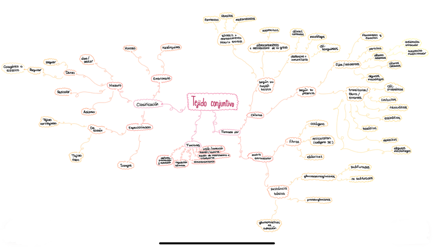 Miniatura del documento IMG0543.jpeg
