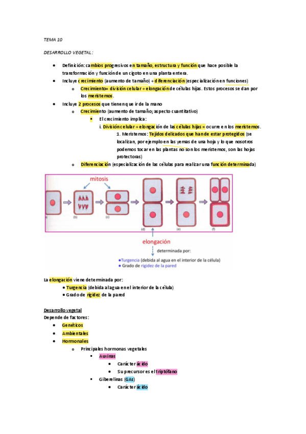 Miniatura del documento FV-10.pdf