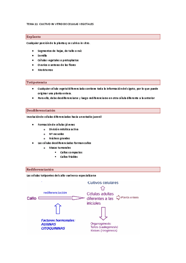 Miniatura del documento FV-11.pdf