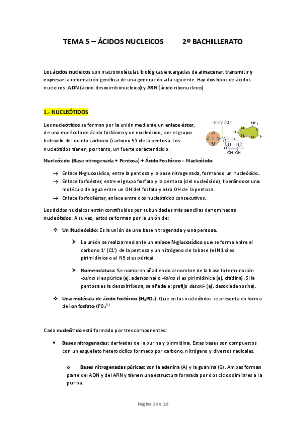 Miniatura del documento T5-ACIDOS-NUCLEICOS.pdf