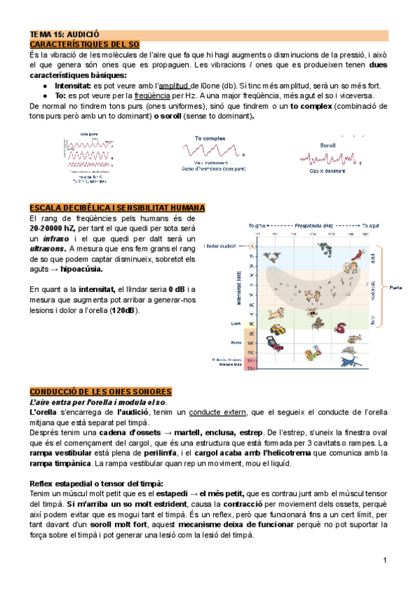 Miniatura del documento Tema-15-Audicio.pdf