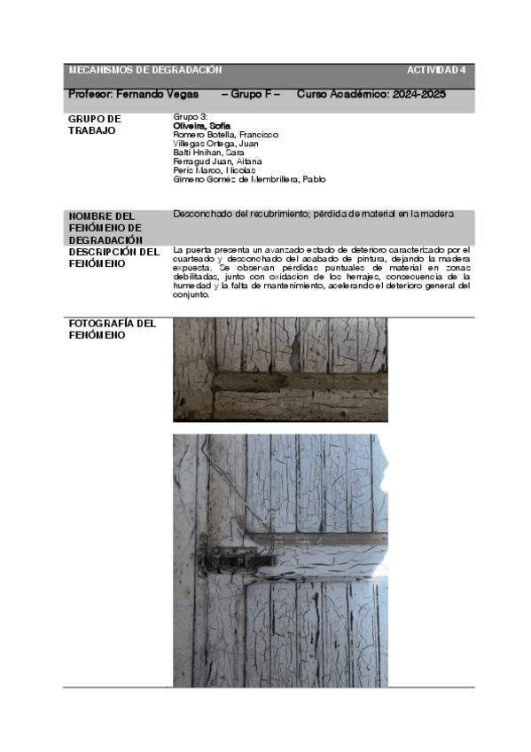 Miniatura del documento ACT4MECANISMOSDEGRADACION.pdf