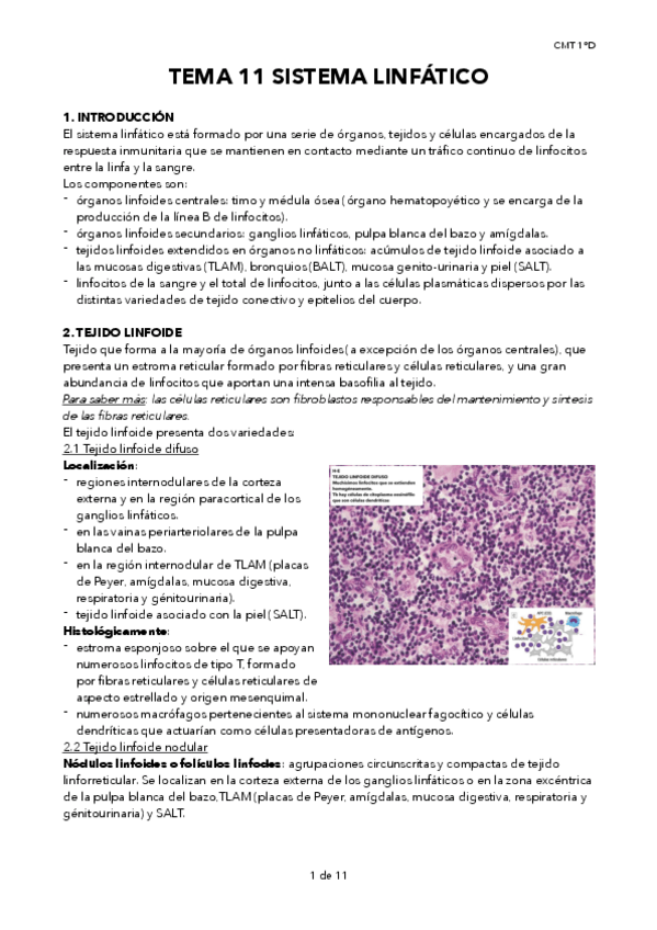 Miniatura del documento TEMA-11-SISTEMA-LINFATICO.pdf