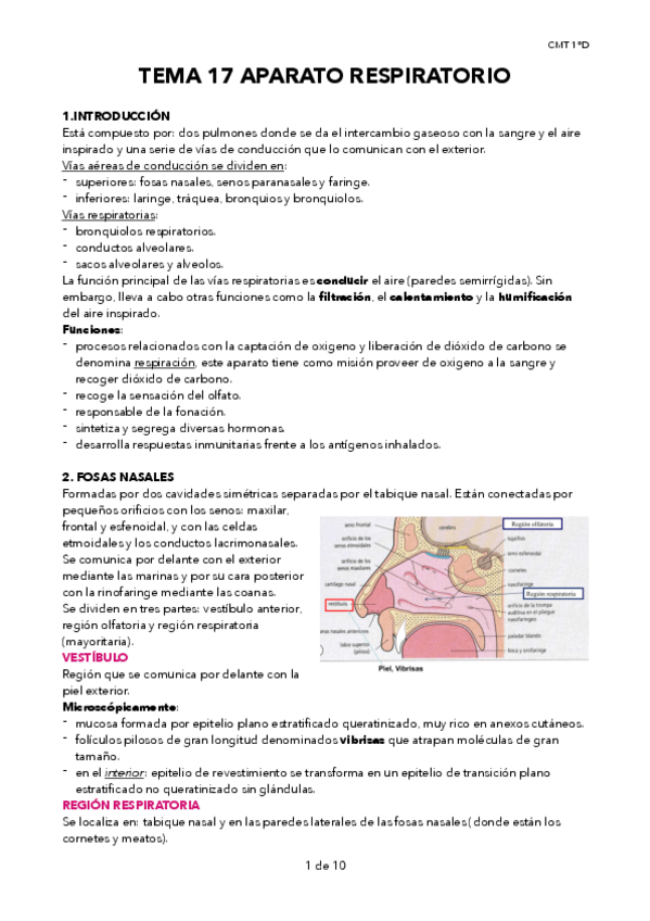 Miniatura del documento TEMA-17-APARATO-RESPIRATORIO.pdf