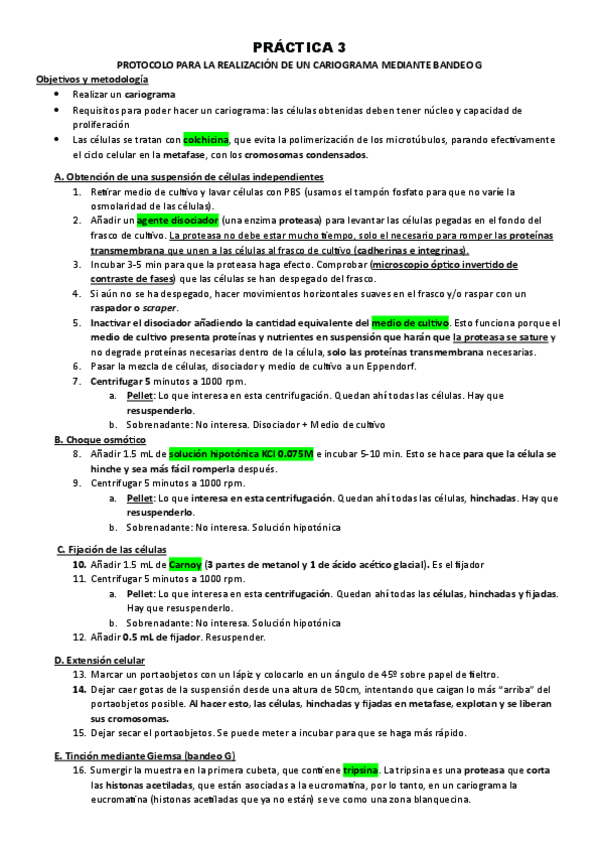 Miniatura del documento PRACTICA-DE-LABORATORIO-3-CITOLOGIA.pdf