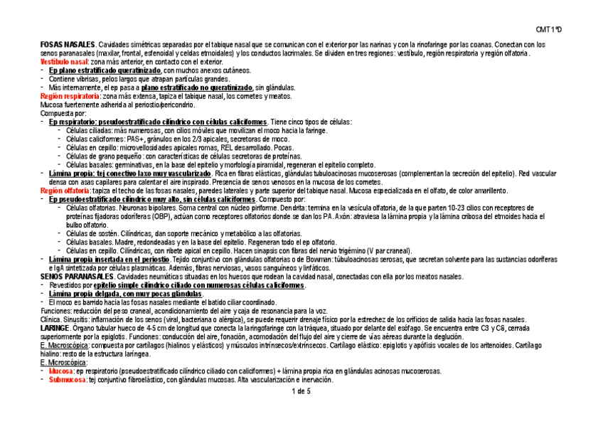 Miniatura del documento RESUMEN-AP-RESPIRATORIO.pdf