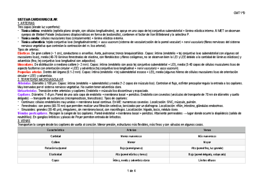 Miniatura del documento RESUMEN-CIRCULATORIO.pdf