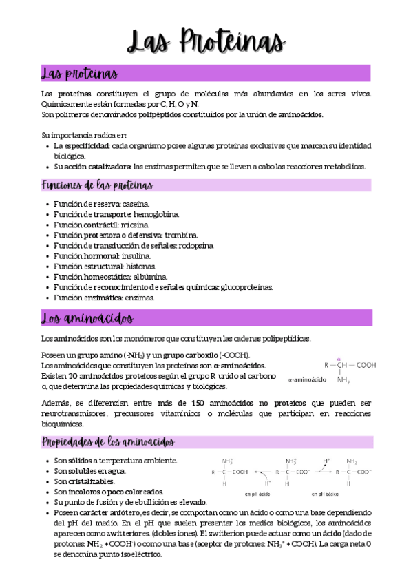 Miniatura del documento LAS-PROTEINAS.pdf