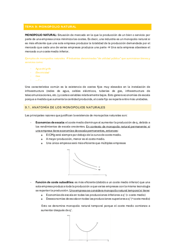Miniatura del documento TEMA-9-Monopolio-natural.pdf