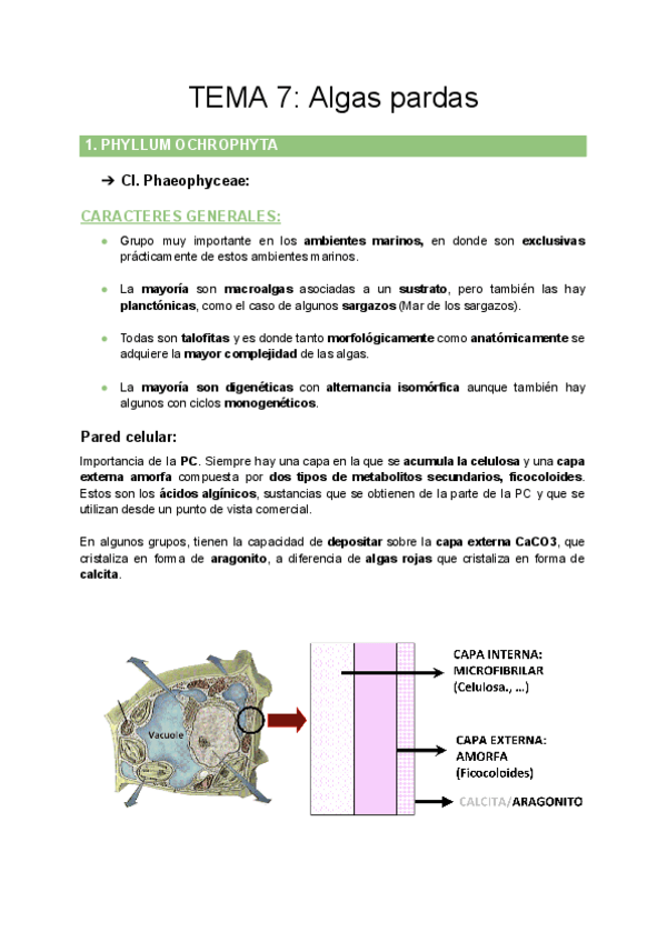 Miniatura del documento TEMA-7-Algas-pardas.pdf