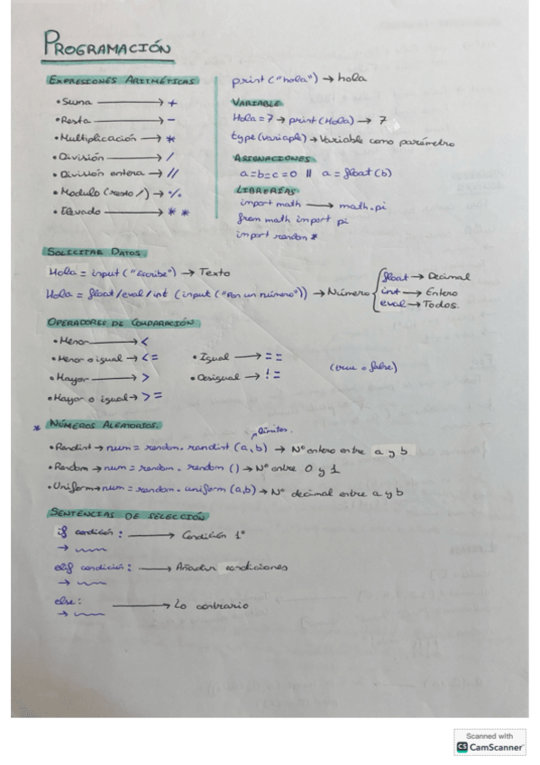 Miniatura del documento Programacioninformatica.pdf