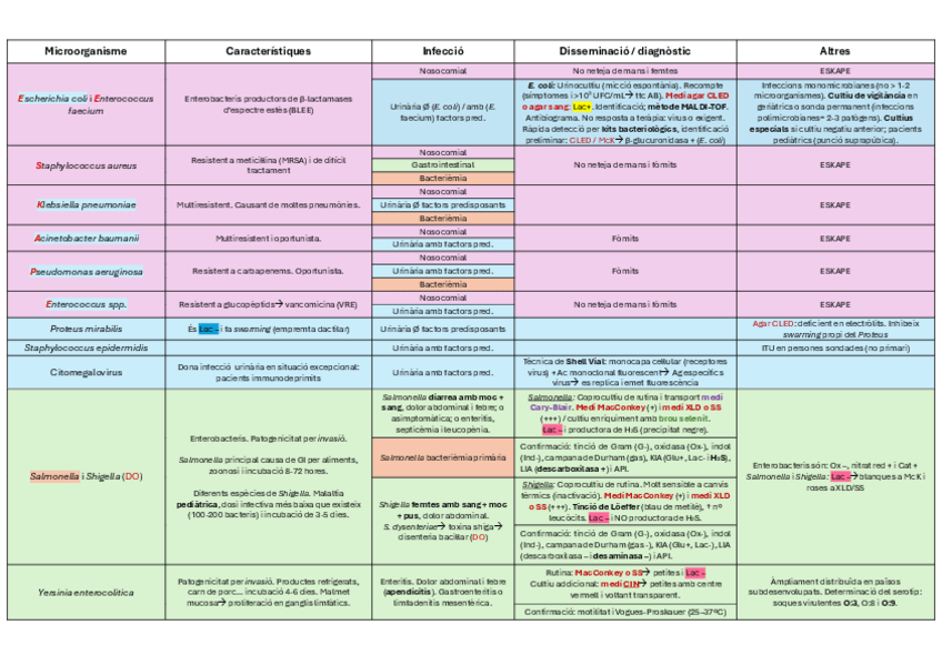 Miniatura del documento Resum-microorganismes.pdf