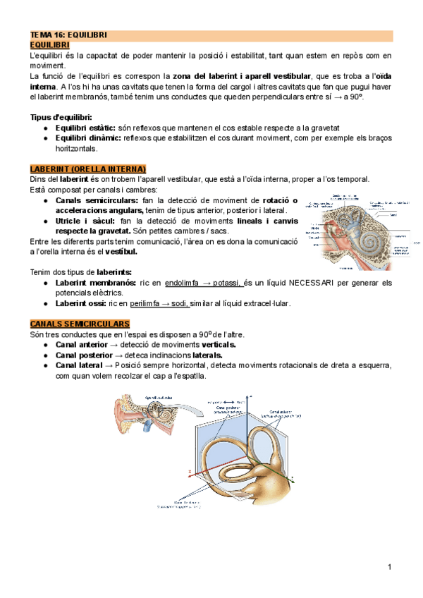 Miniatura del documento Tema-16-Equilibri.pdf