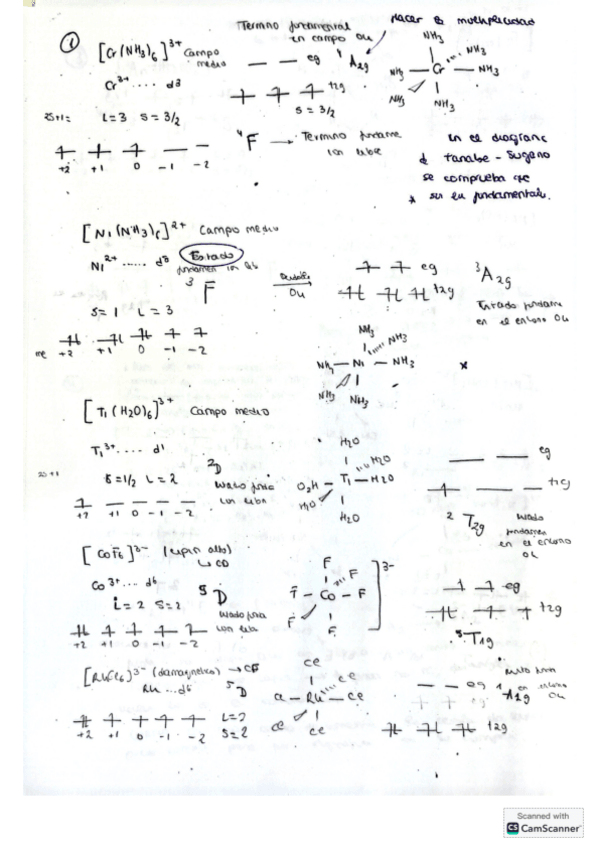 Miniatura del documento Ejercicios-Tema-4.pdf