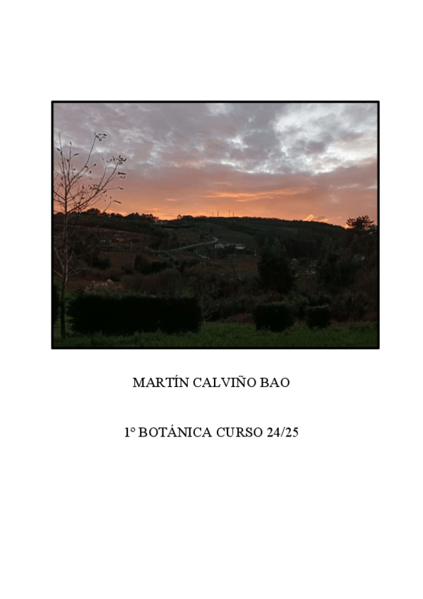 Miniatura del documento HERBARIO-VIRTUAL-MCB-sim.pdf