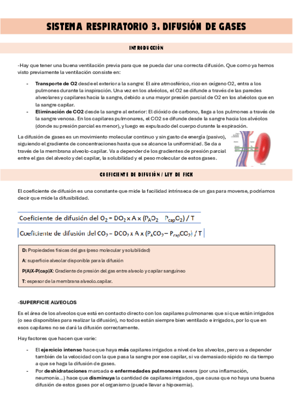 Miniatura del documento respiratorio-3.-Difusion.pdf