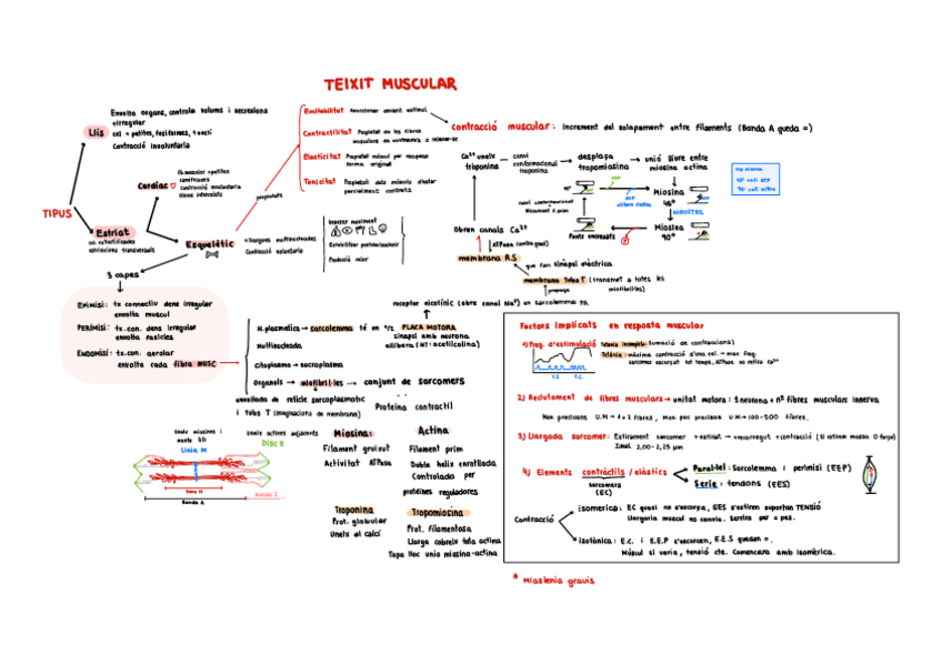 Miniatura del documento Tema10.pdf
