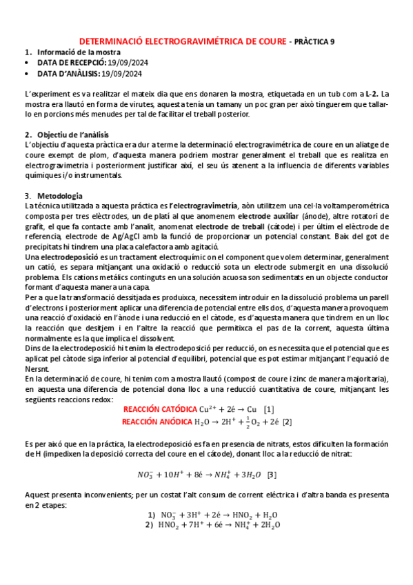 Miniatura del documento IINFORME-P9.pdf