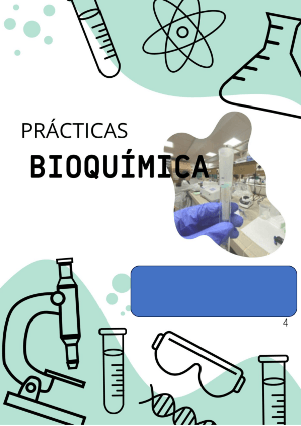 Miniatura del documento iNFORME-practicas.pdf