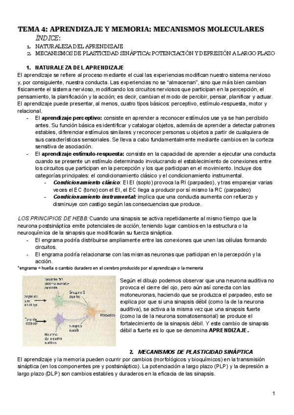 Miniatura del documento Tema-4-fisiologia.pdf
