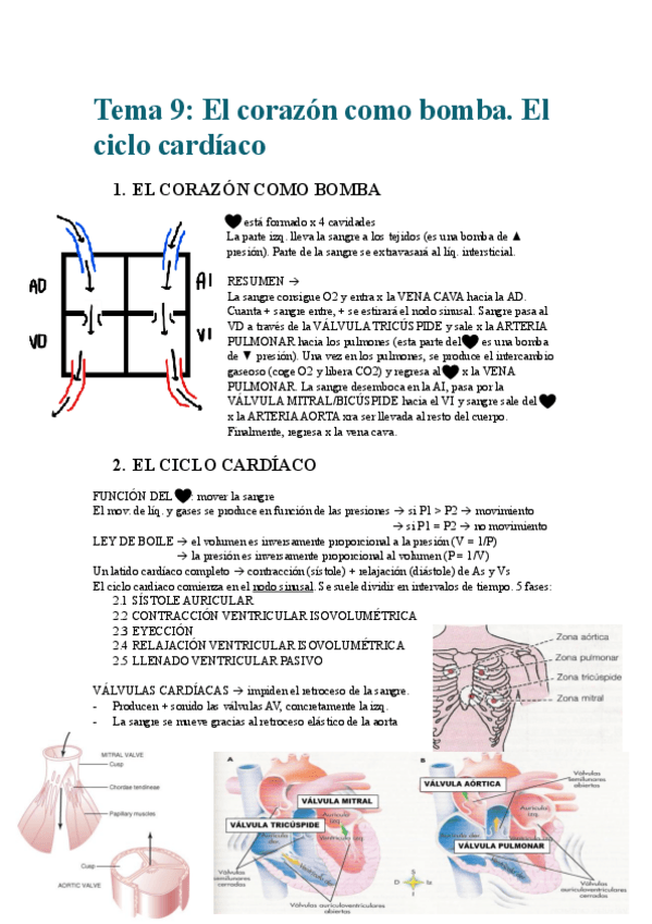 Miniatura del documento Tema-9El-corazon-como-bomba.-El-ciclo-cardiaco..pdf