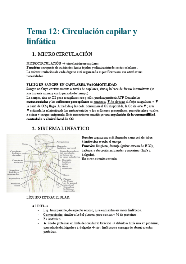 Miniatura del documento Tema-12Circulacion-capilar-y-linfatica.pdf