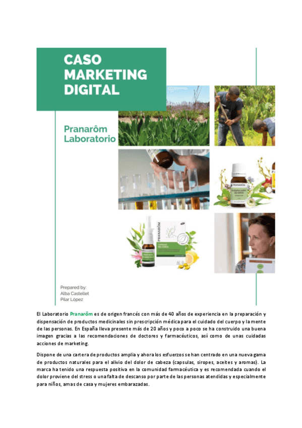 Miniatura del documento Caso-MKT-DigitalPranaromcompleta.pdf