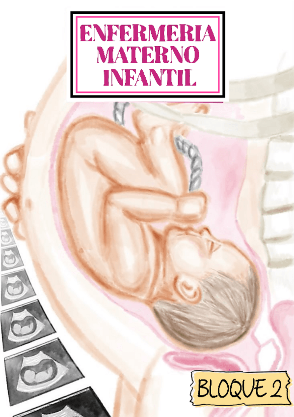 Miniatura del documento BLOQUE-2-MATERNO-CICLO-OVARICO.pdf