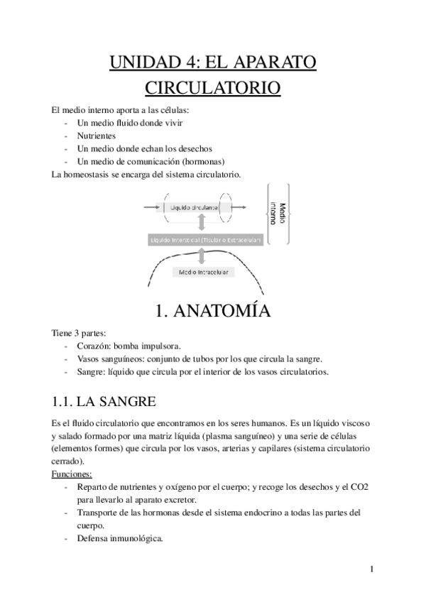 Miniatura del documento EL-APARATO-CIRCULATORIO.pdf