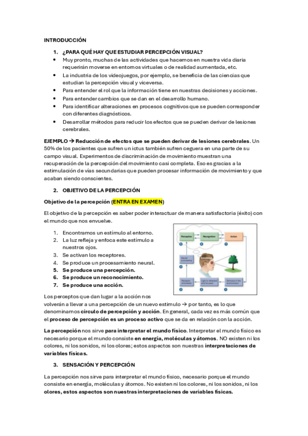 Miniatura del documento INTRODUCCION-PERCEPCION-VISUAL.pdf
