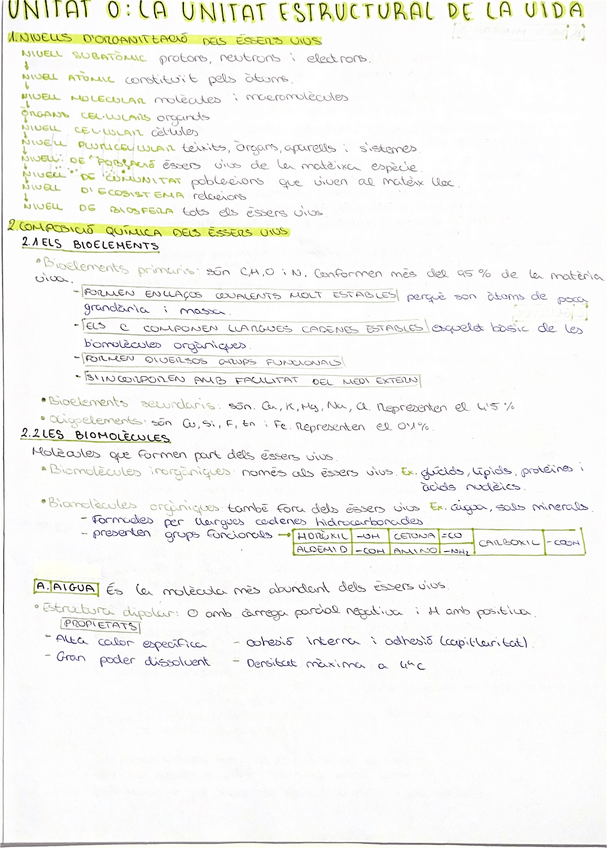 Miniatura del documento Bioelements-i-biomolecules.pdf